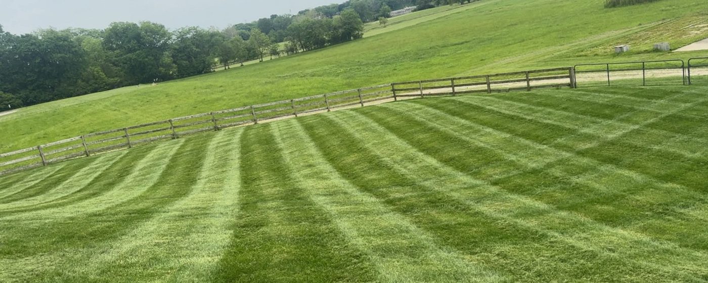 Striped acreage running along a long post-and-rail fence