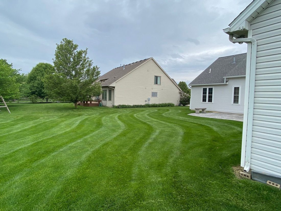 Crisp mowing stripes across a backyard lawn
