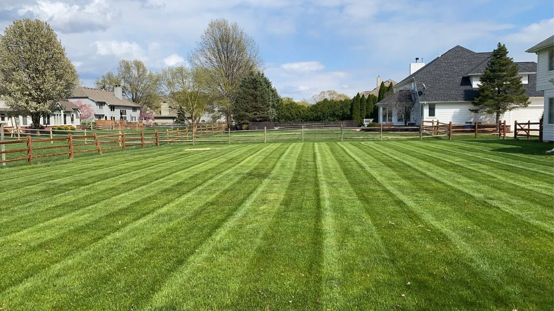 Wide, freshly striped lawn in a neighborhood